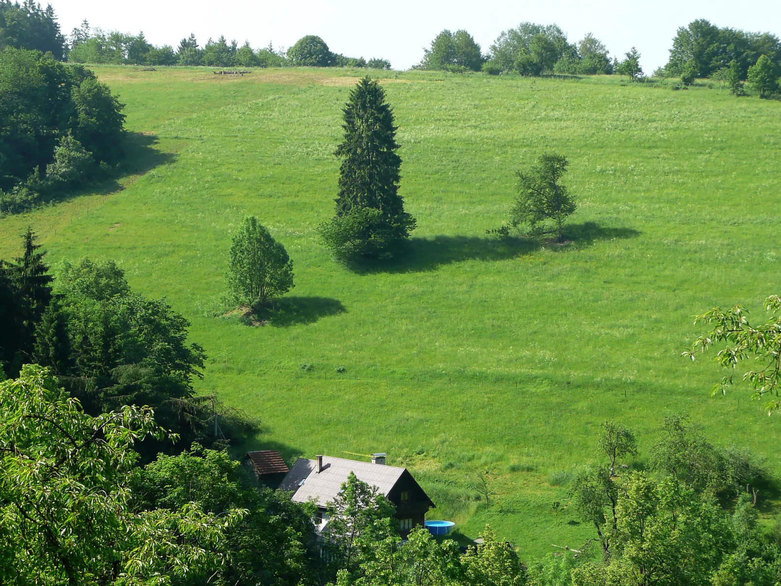 Janová-Binnen