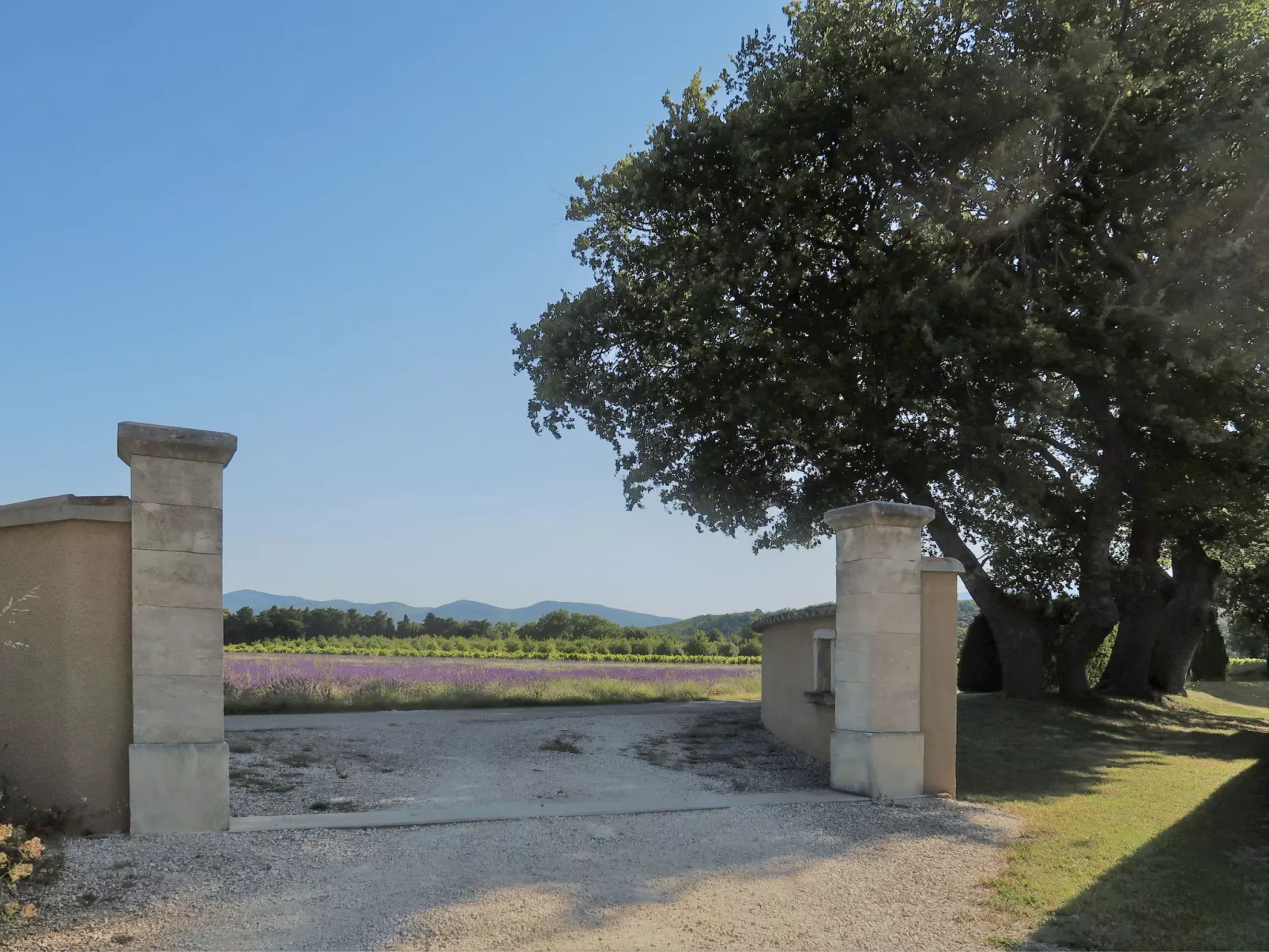 La Cardeline-Buiten