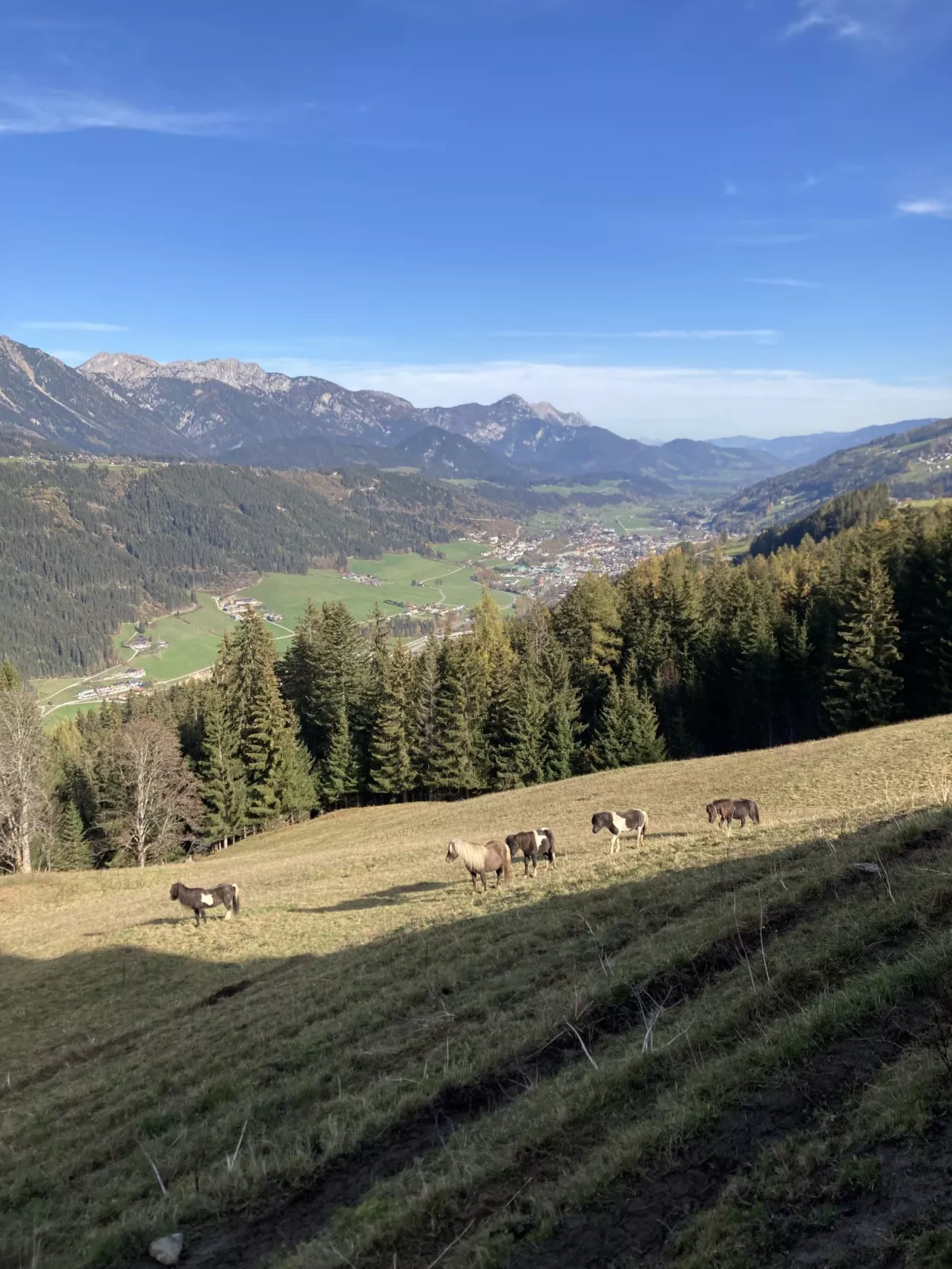 Rubin-Buiten