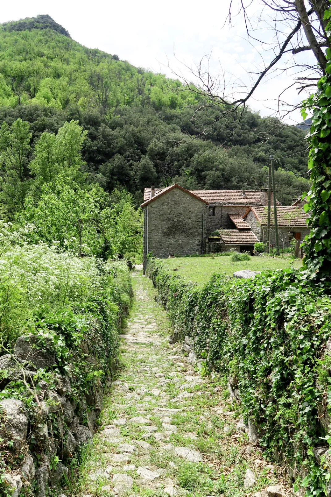Chassezac-Buiten
