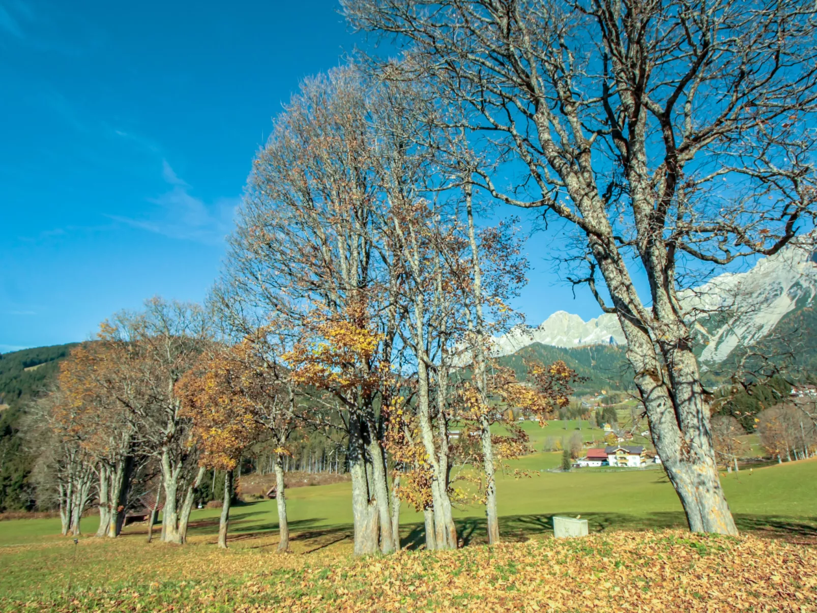 Berghaus Weitblick-Buiten