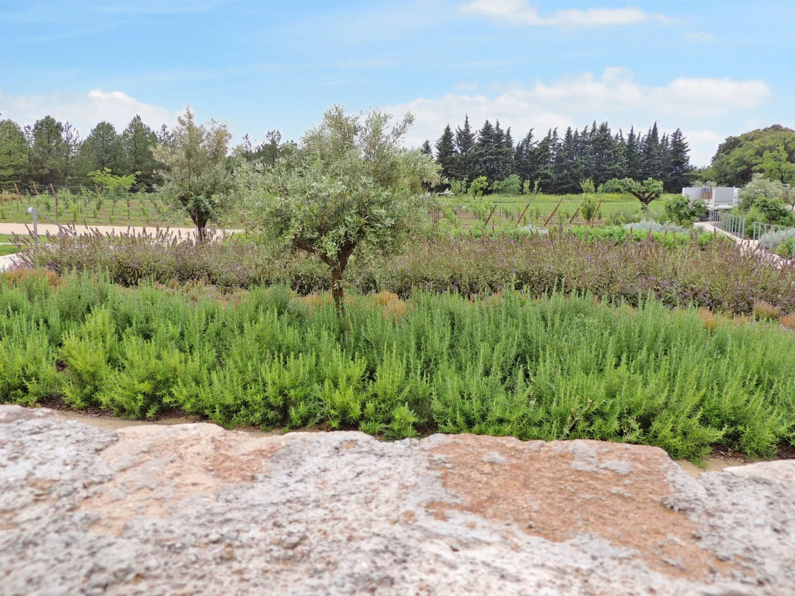 Le Domaine de Bacchus (SIH100)-Buiten