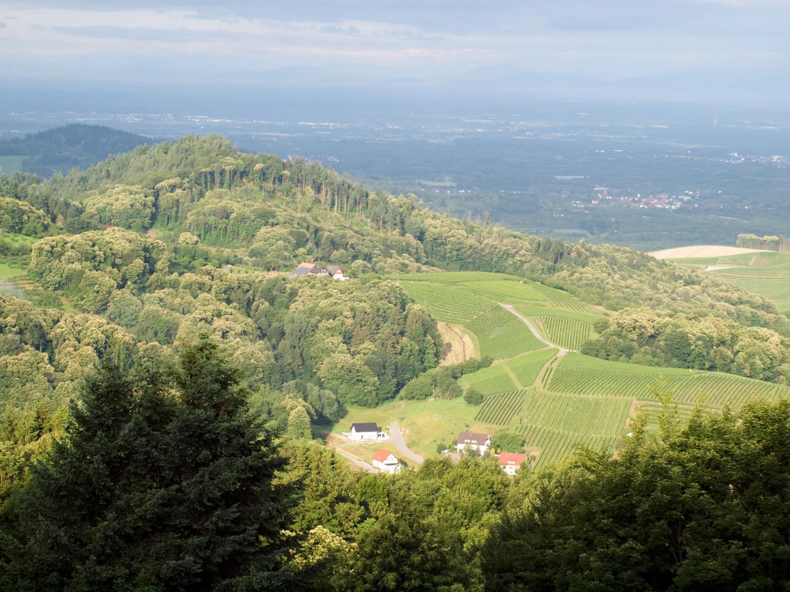 Tillisch-Buiten