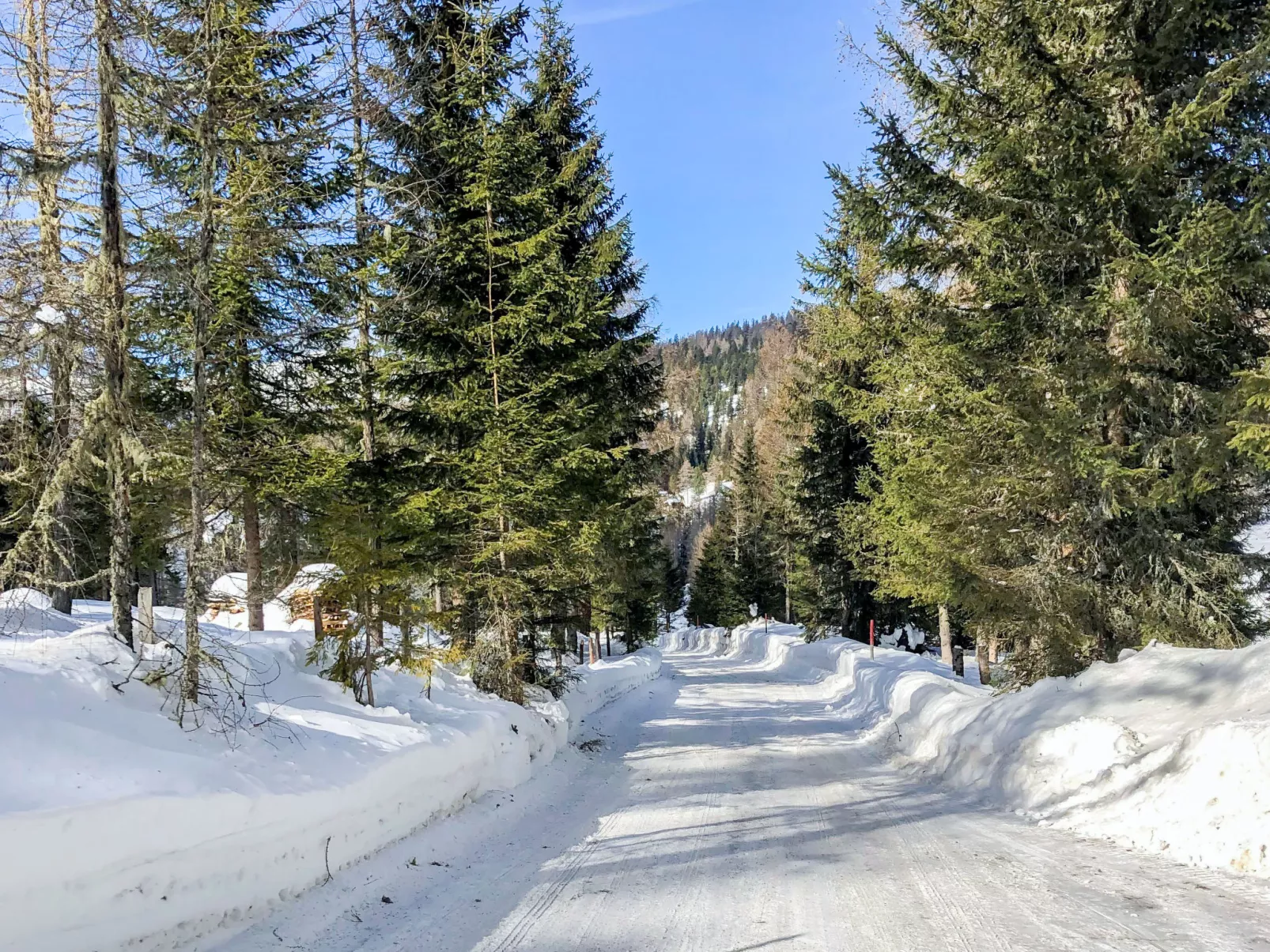 Chalet Amsel-Buiten