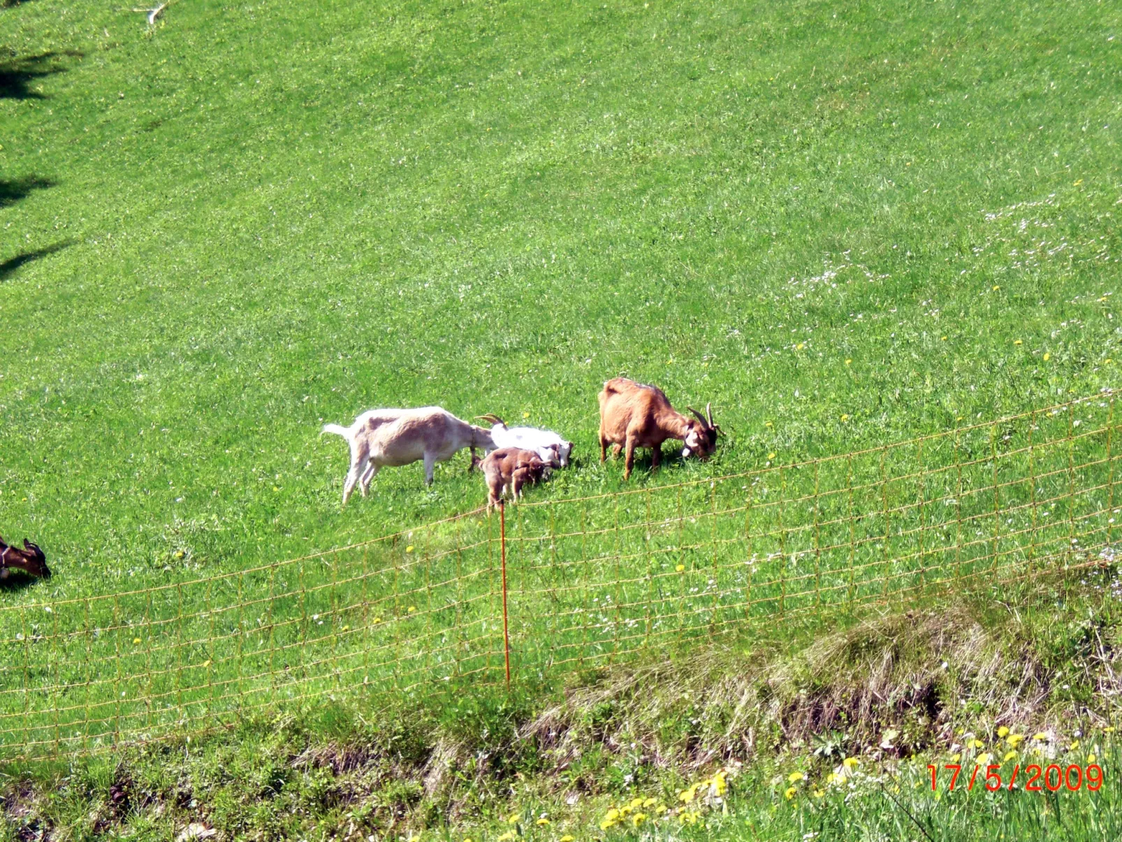 Mühlenmichelshäusle-Buiten