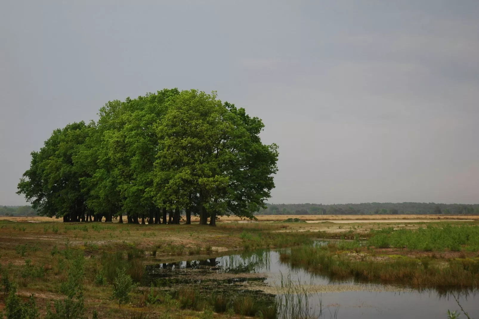 Landgoed De IJsvogel 6-Gebieden zomer 20km