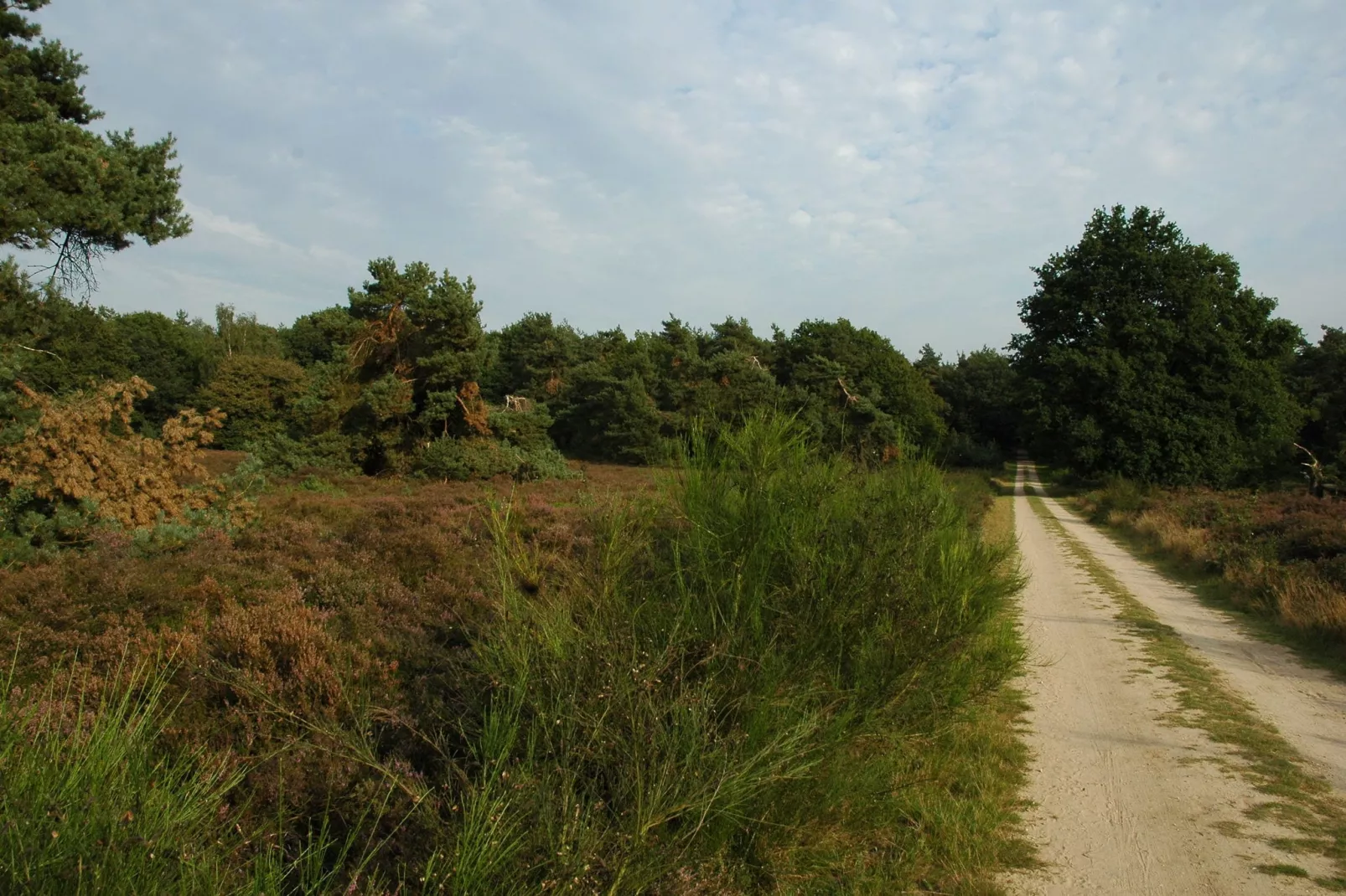 Landgoed De IJsvogel 6-Gebieden zomer 20km