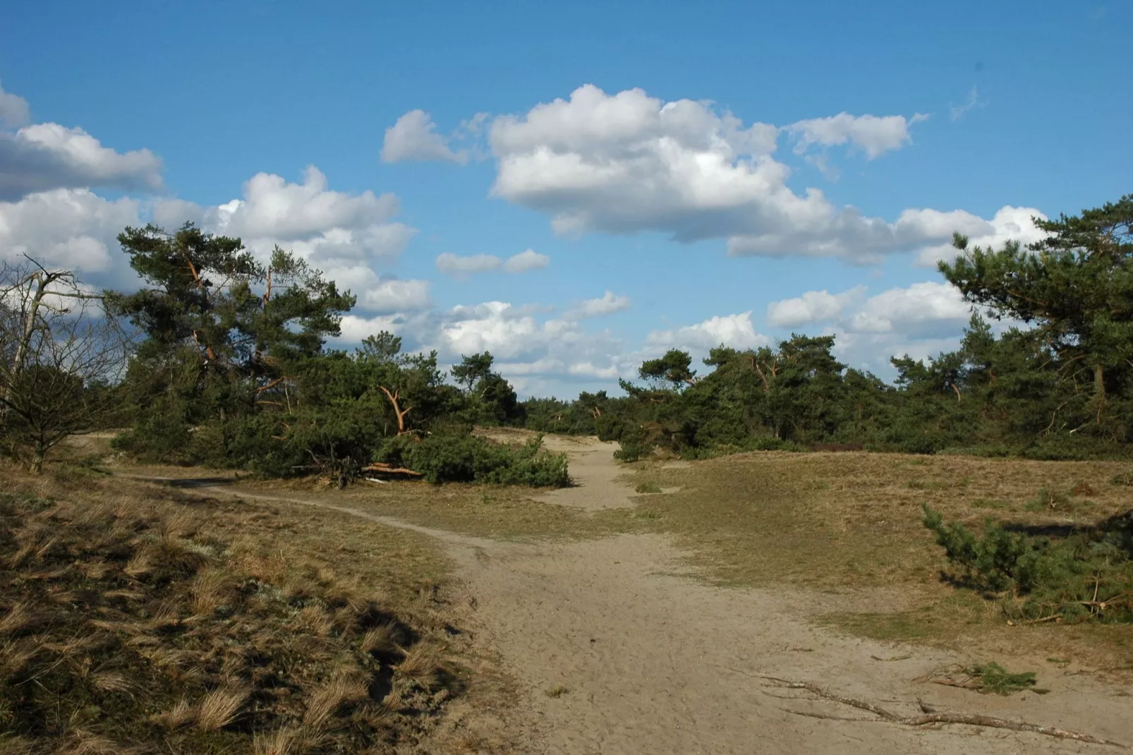 Landgoed De IJsvogel 6-Gebieden zomer 20km