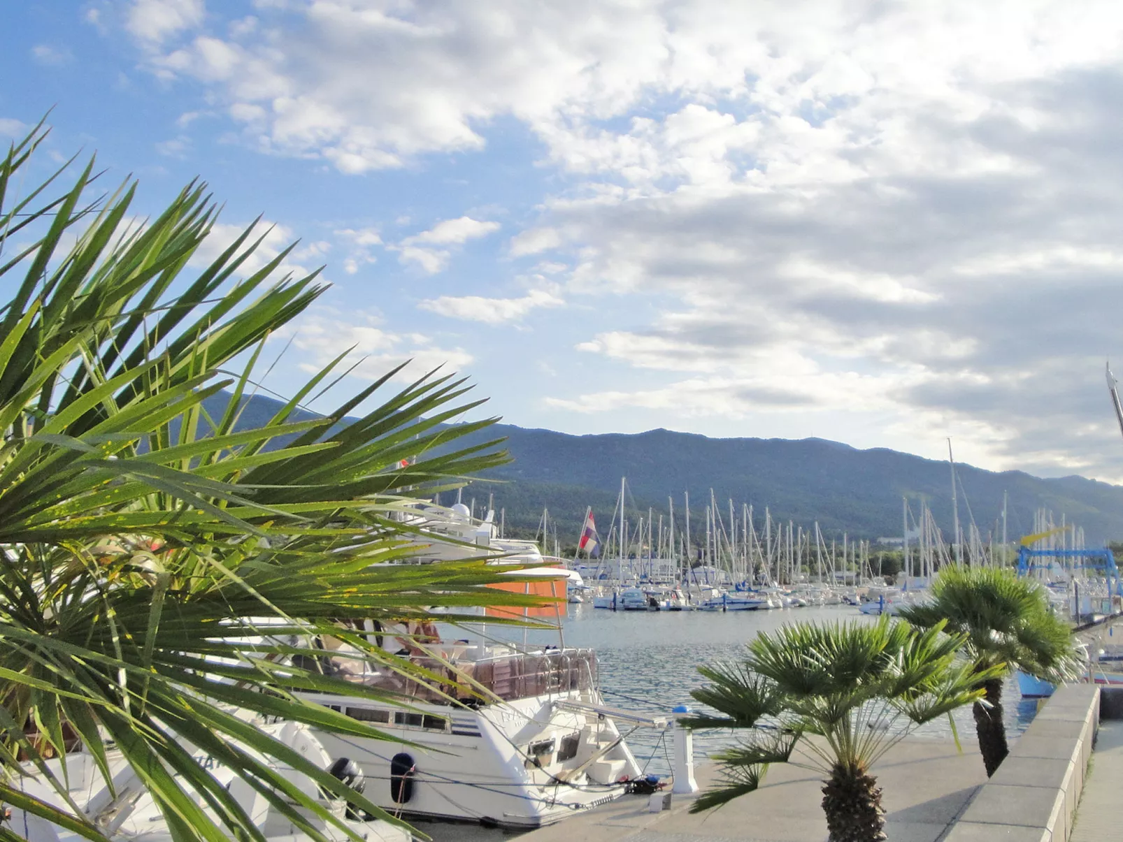 Les Pins Parasols-Omgeving