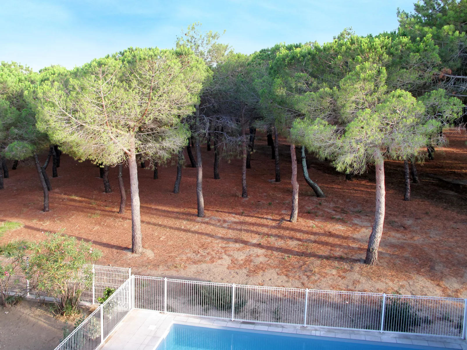 Les Pins Parasols-Buiten