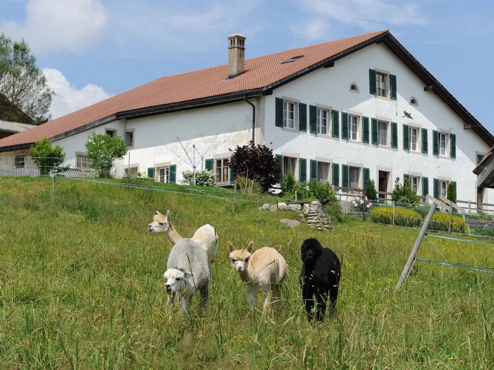 Gîte - Ferme O'Clés