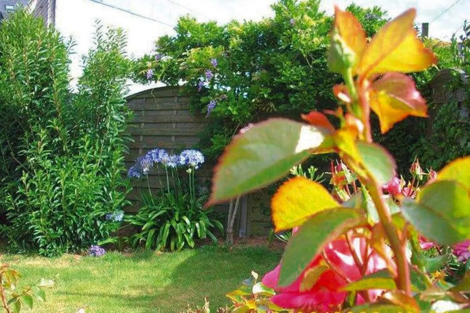 Semi-detached house Damgan-Penerf-Tuinen zomer