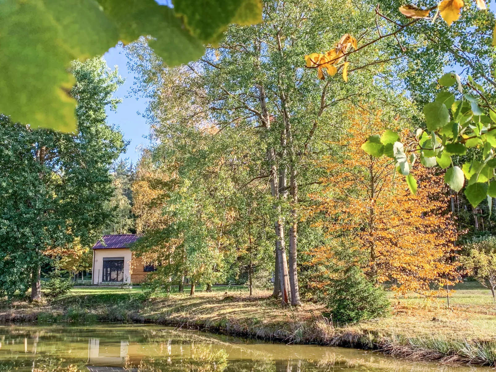 Cosy tiny house-Buiten