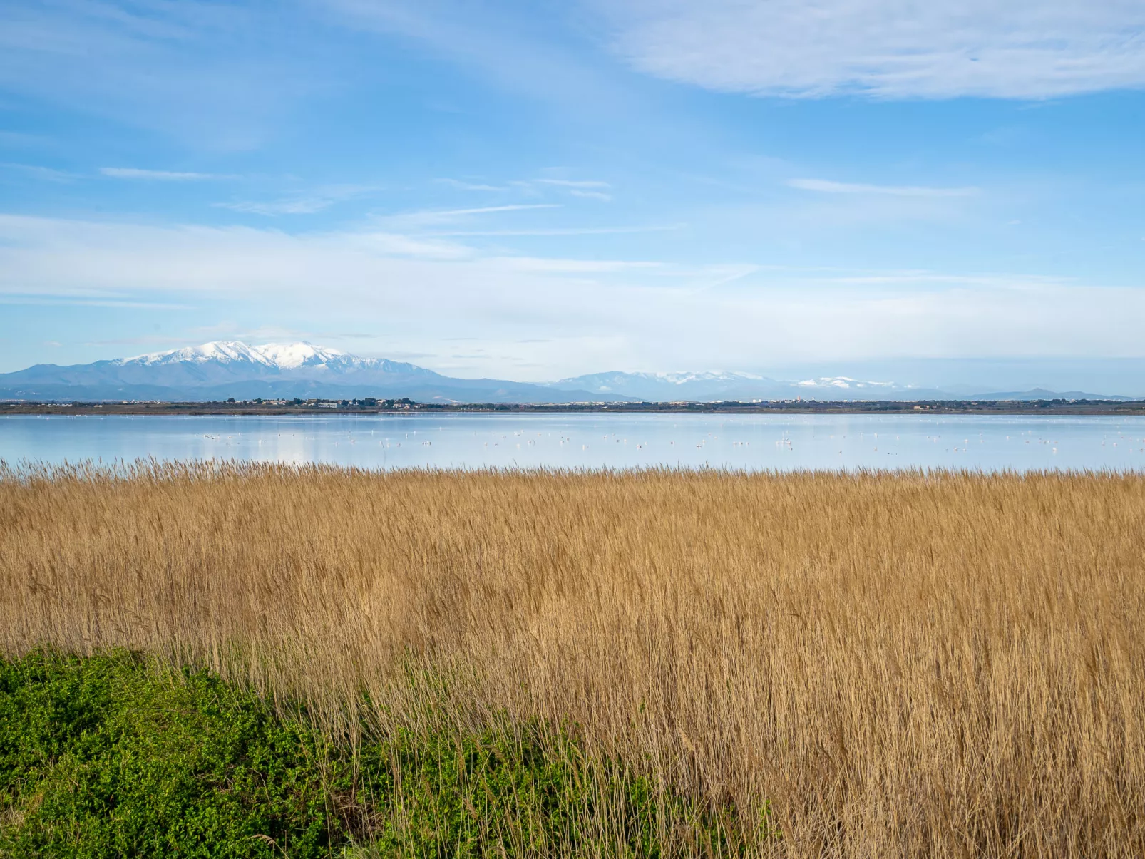 Cap Sud-Omgeving