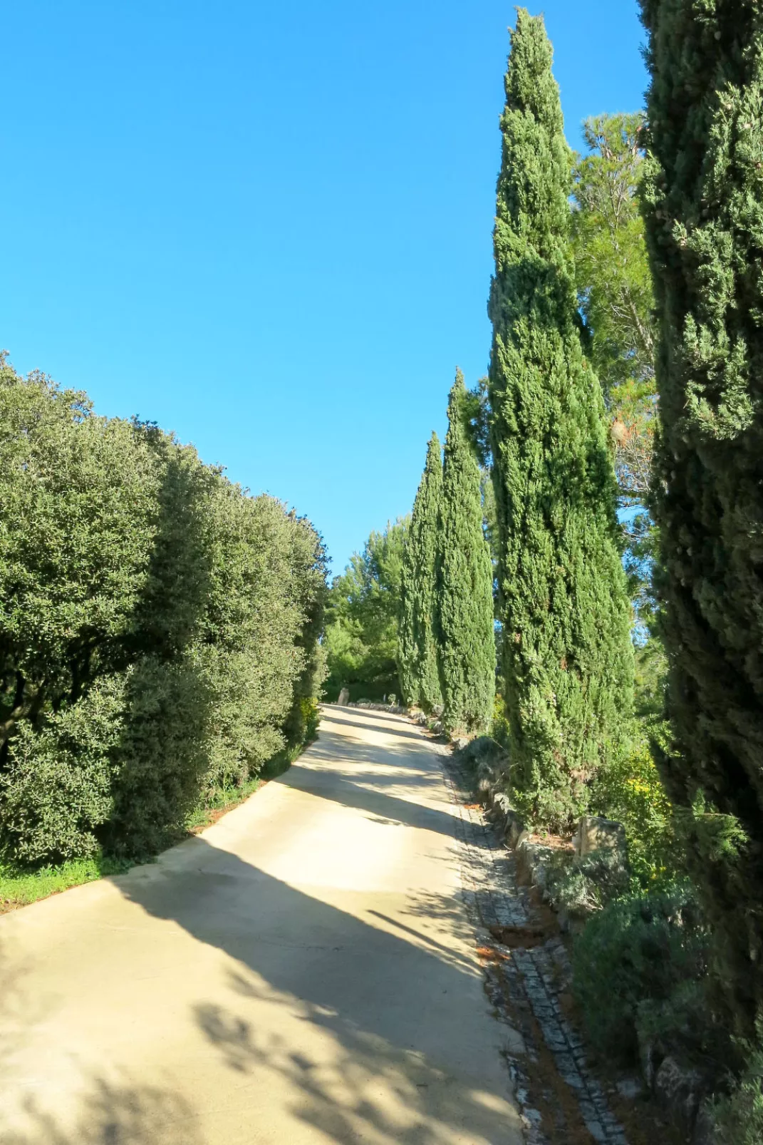 Les Garrigues de la Vallée des Baux-Buiten