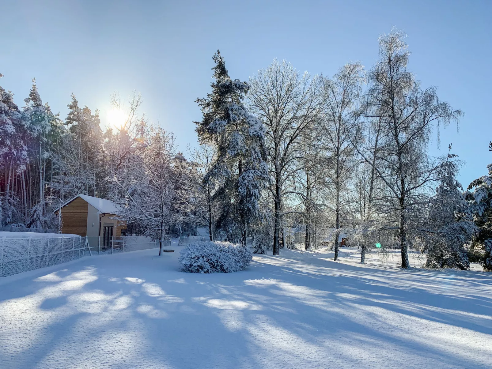 Cosy tiny house-Buiten