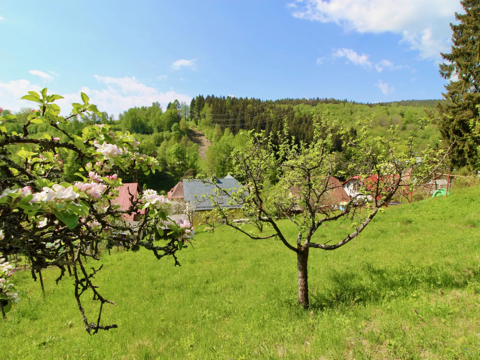 Hillside Lodge & Garden-Buiten