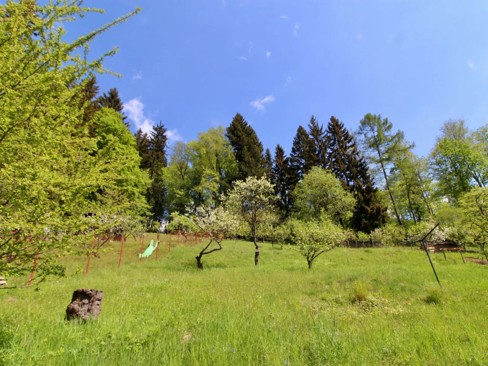 Hillside Lodge & Garden-Buiten