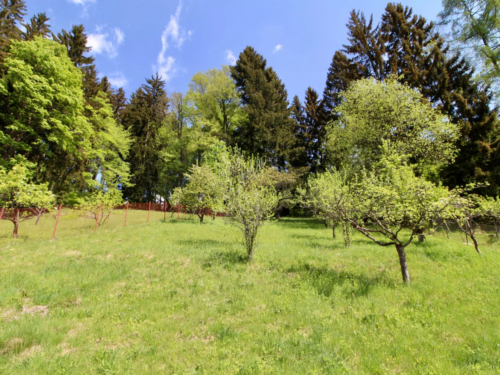 Hillside Lodge & Garden-Buiten