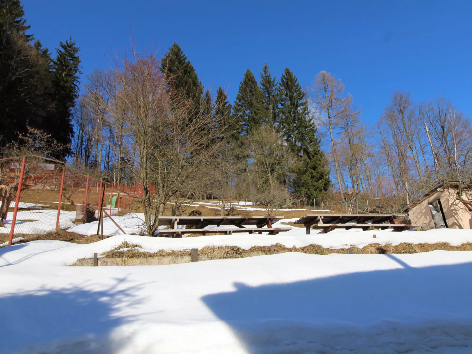 Hillside Lodge & Garden-Buiten