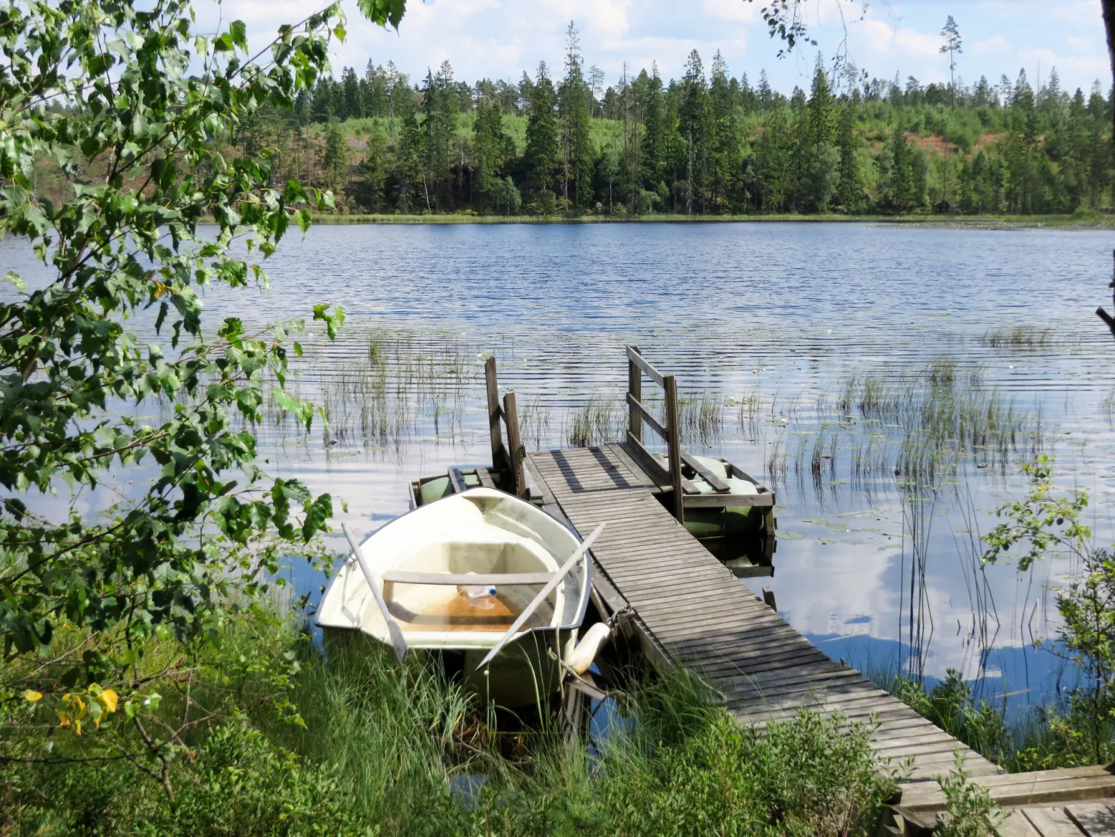 Skogsgläntan (HAL023)-Buiten