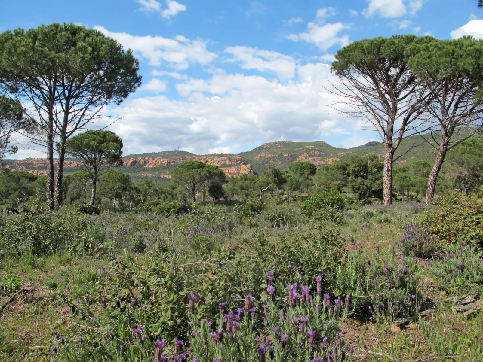 Le Paouvadon-Omgeving