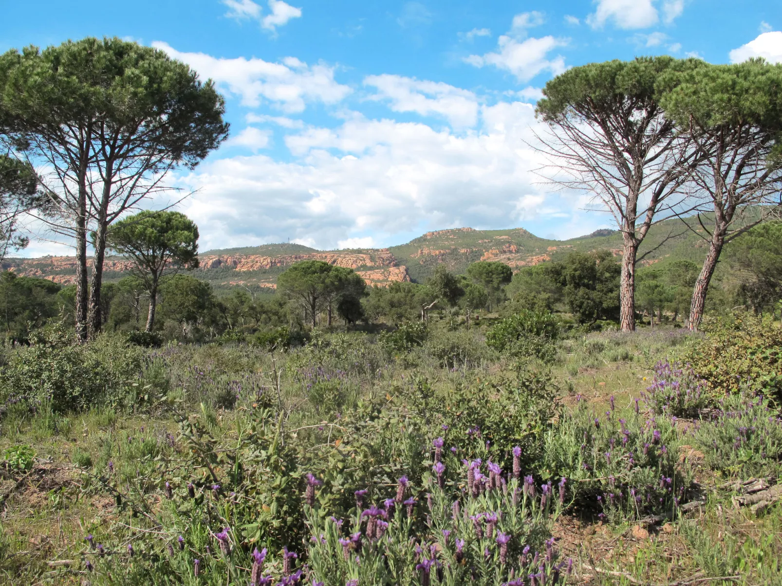 Au Romarin-Omgeving
