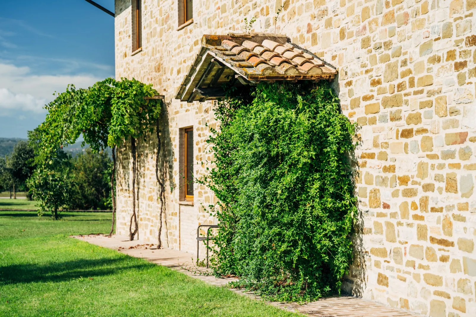 Valle di Assisi BILO