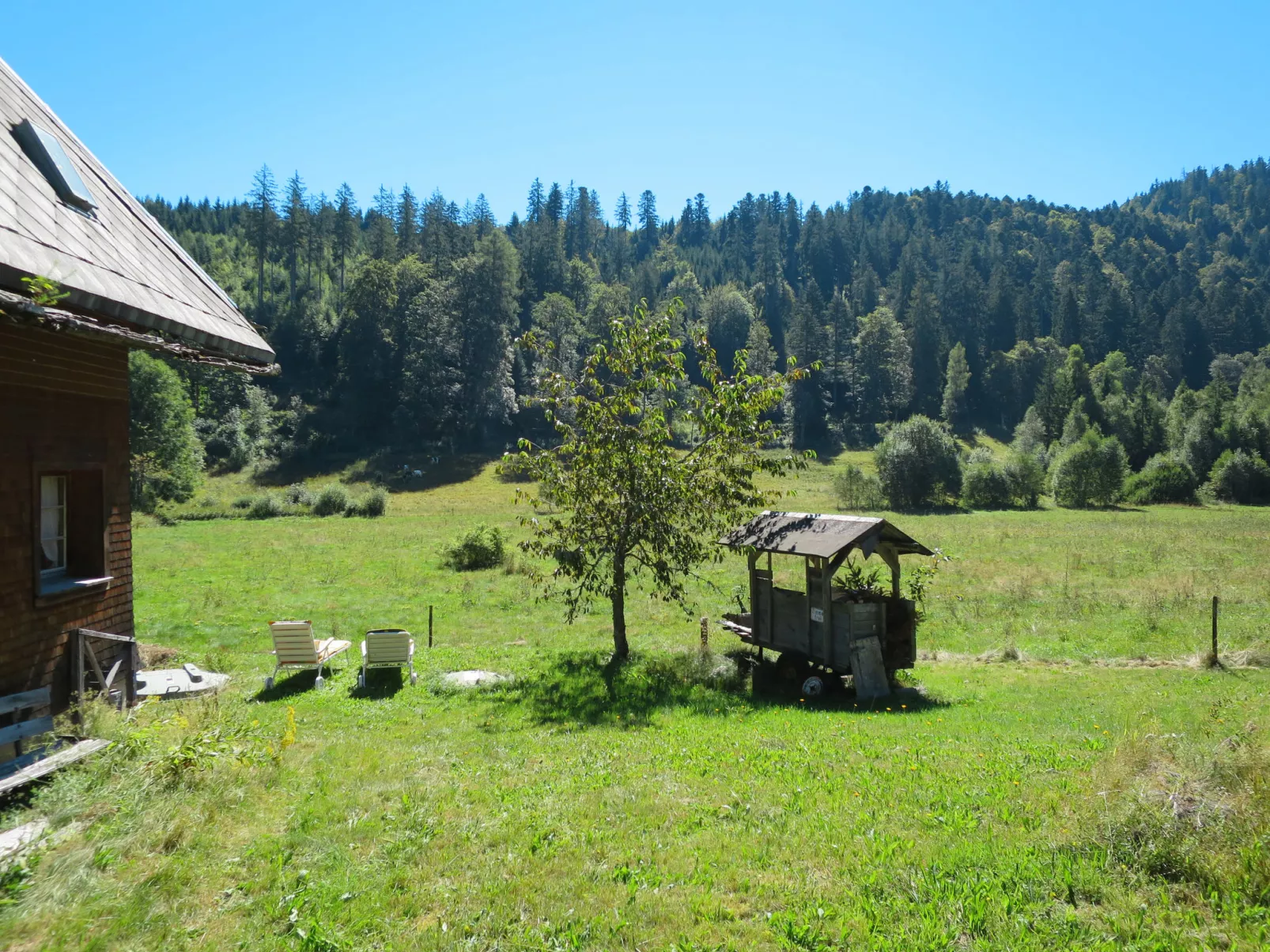 Bistenhof-Buiten