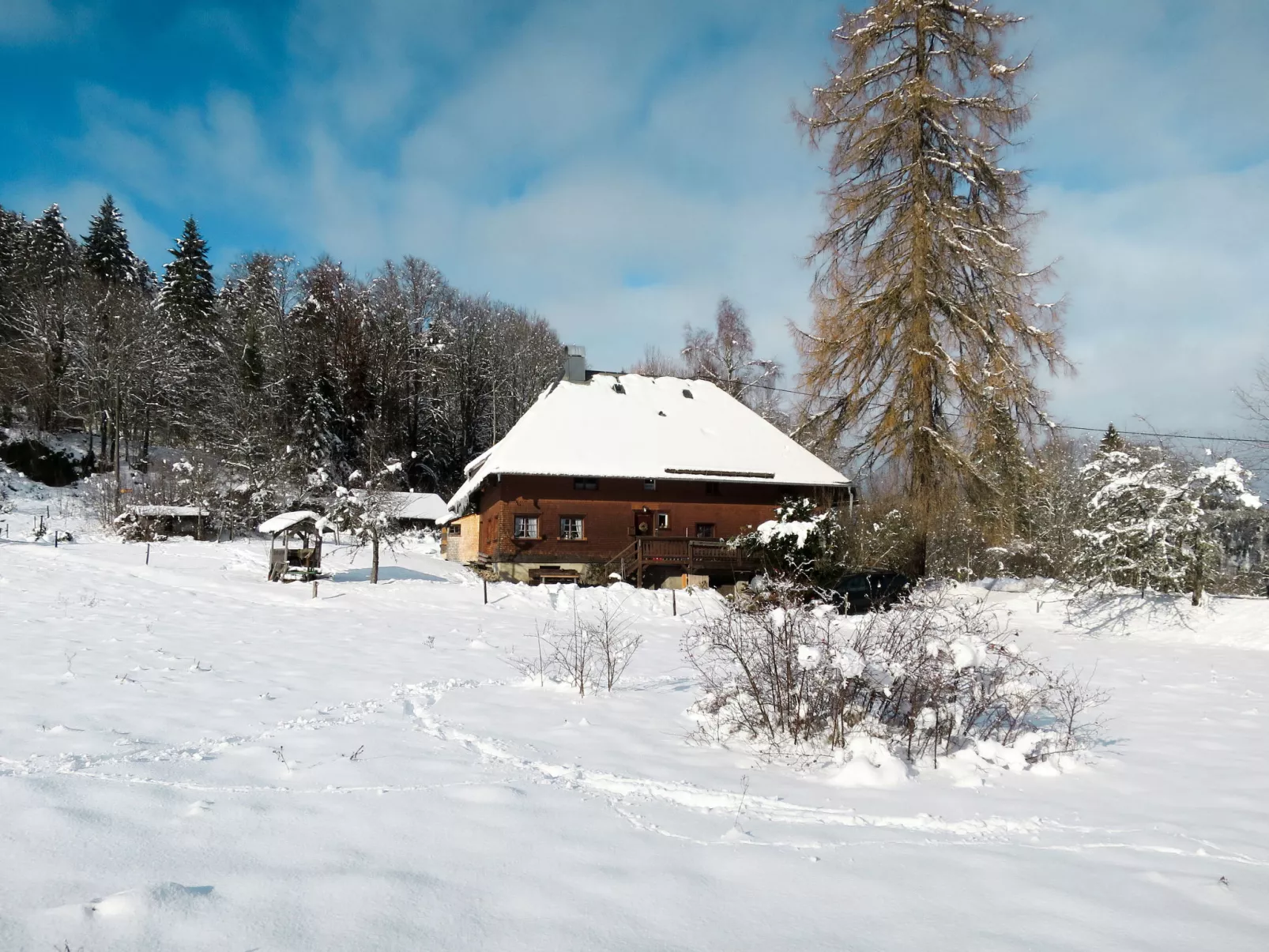 Bistenhof-Buiten