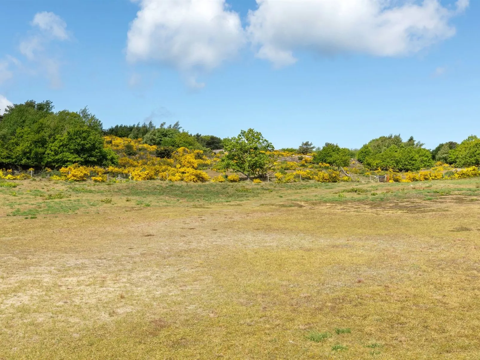 "Alea" - 200m from the sea-Buiten