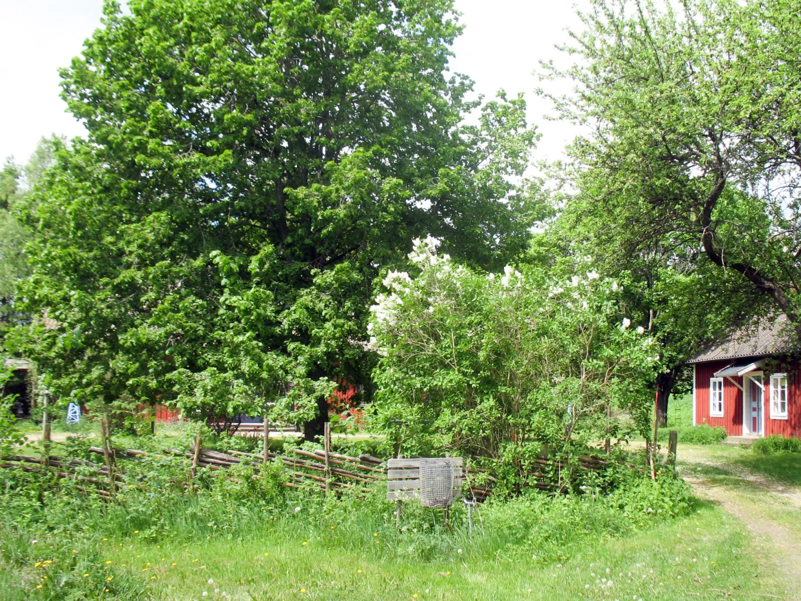 Ebbabolet-Buiten