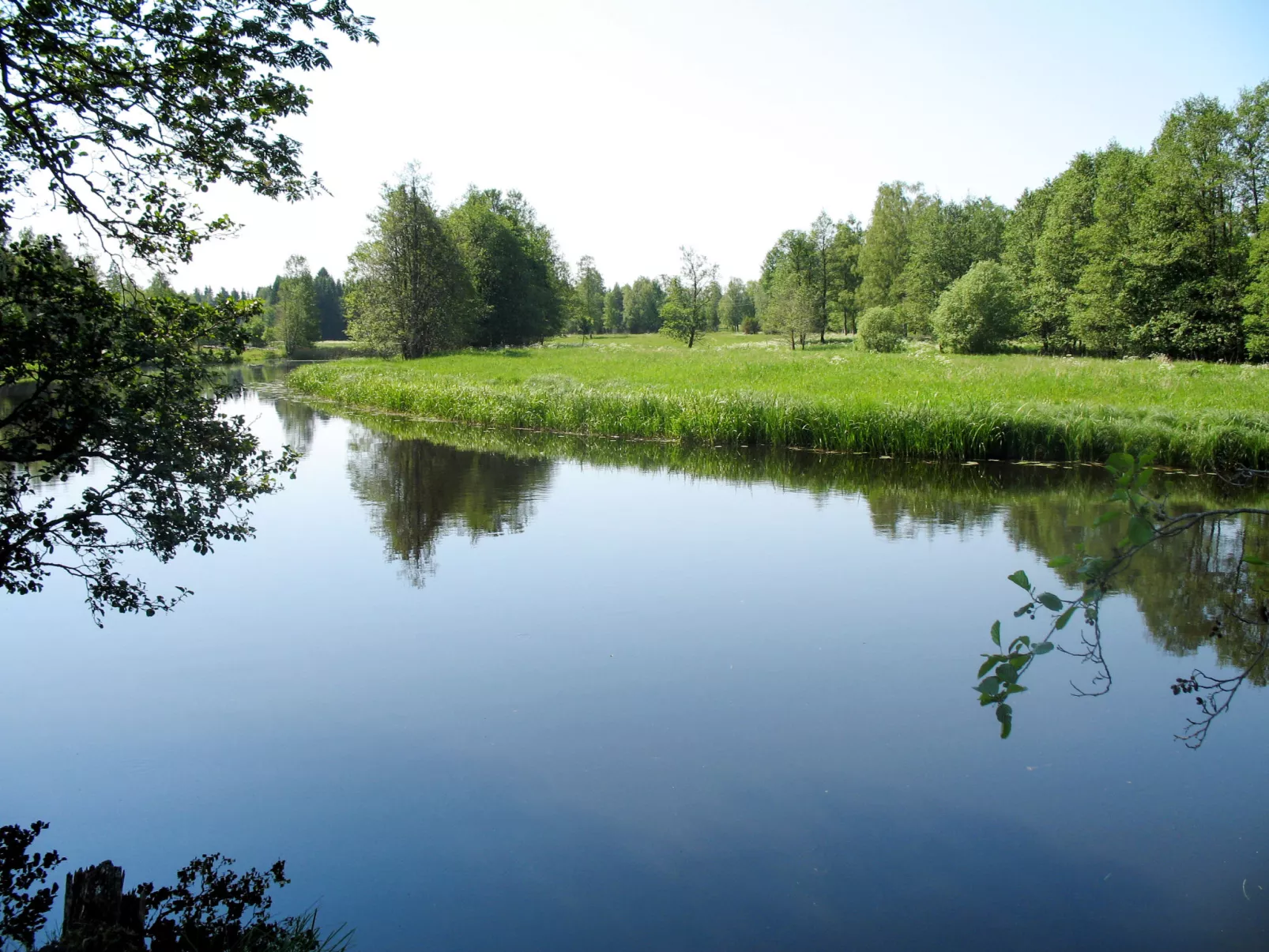 Ebbabolet-Buiten