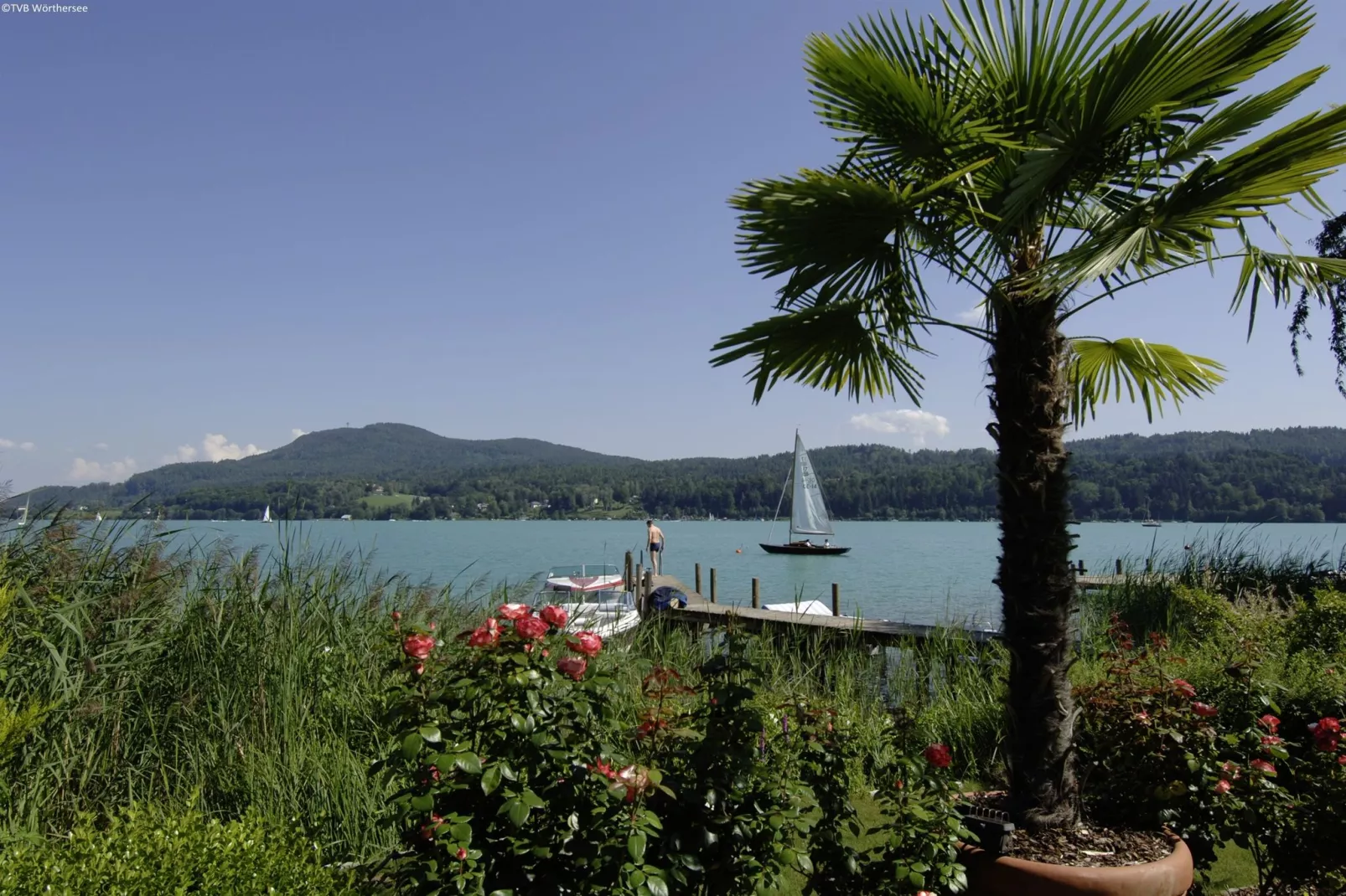 Appartement Köttmannsdorf-Gebieden zomer 20km