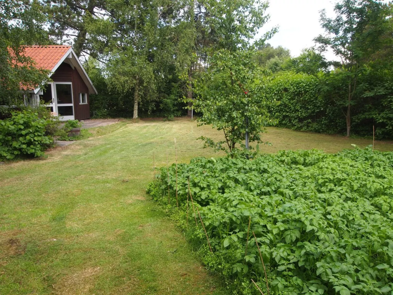 "Kerrin" - 300m from the sea-Buiten
