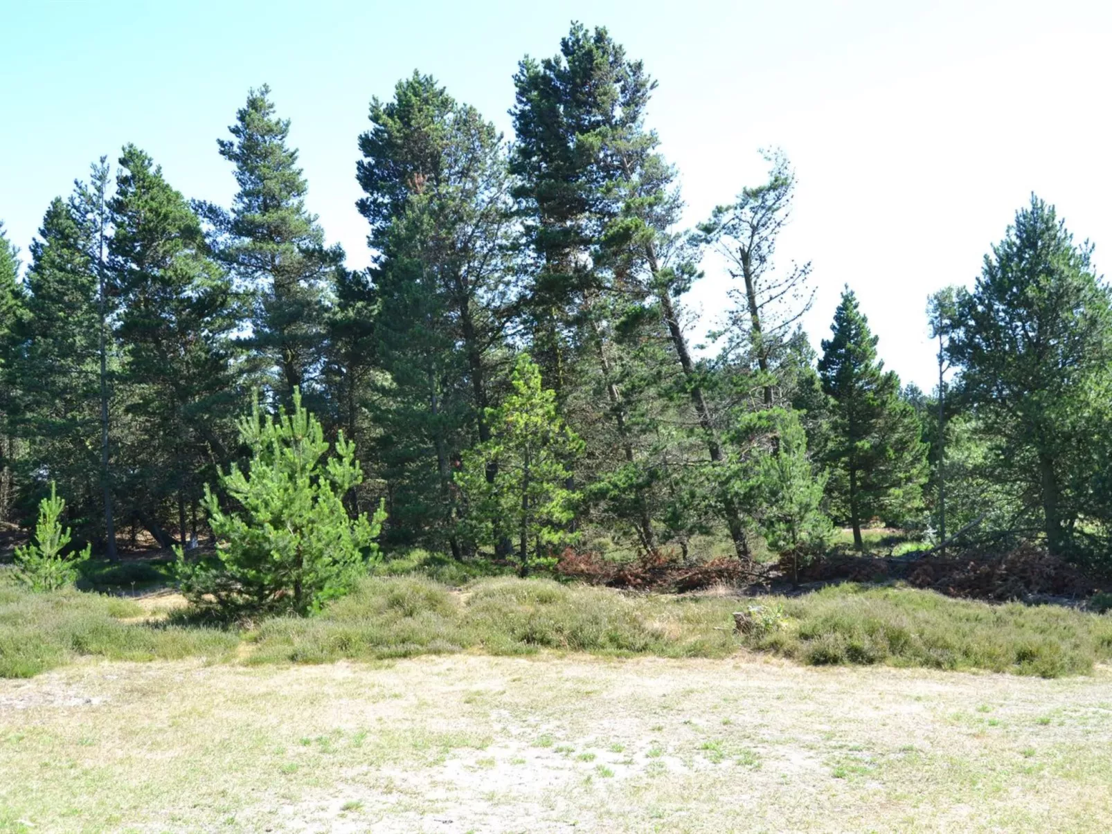 "Tirsa" - 3.9km from the sea-Buiten