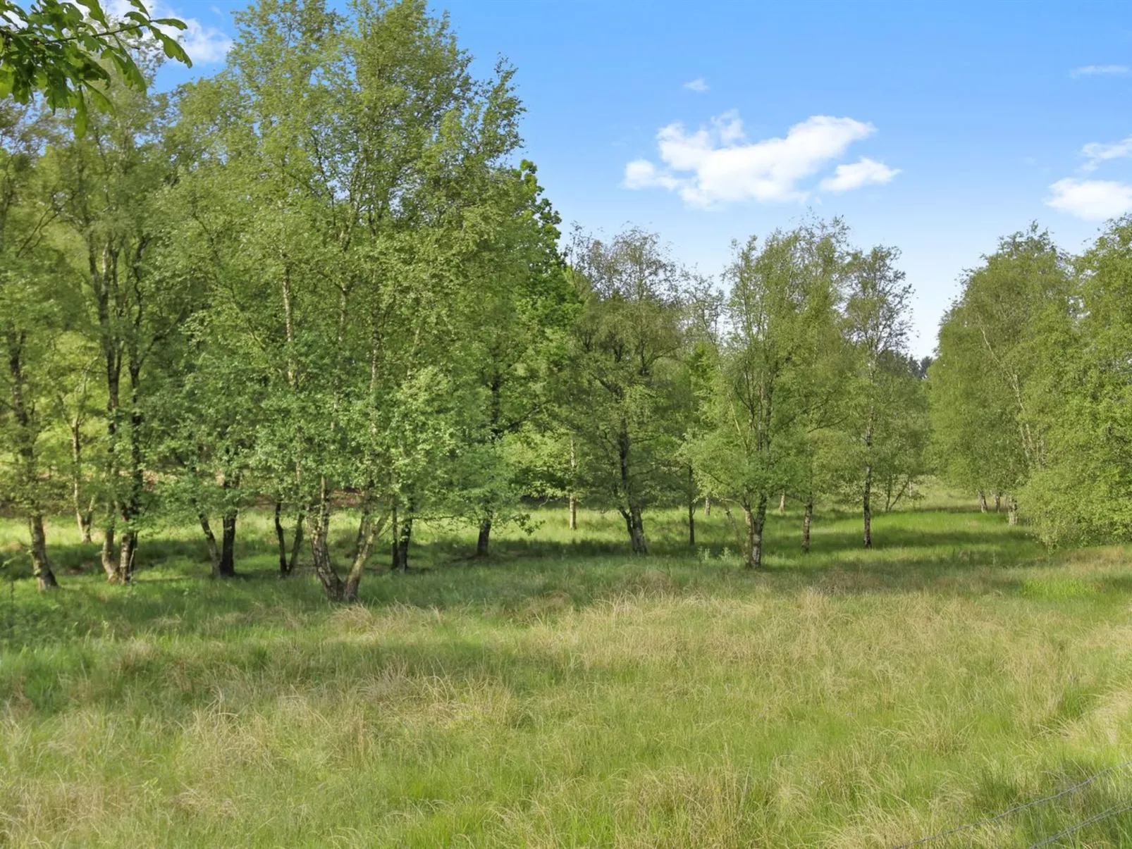 "Terese" - 45km from the sea-Binnen
