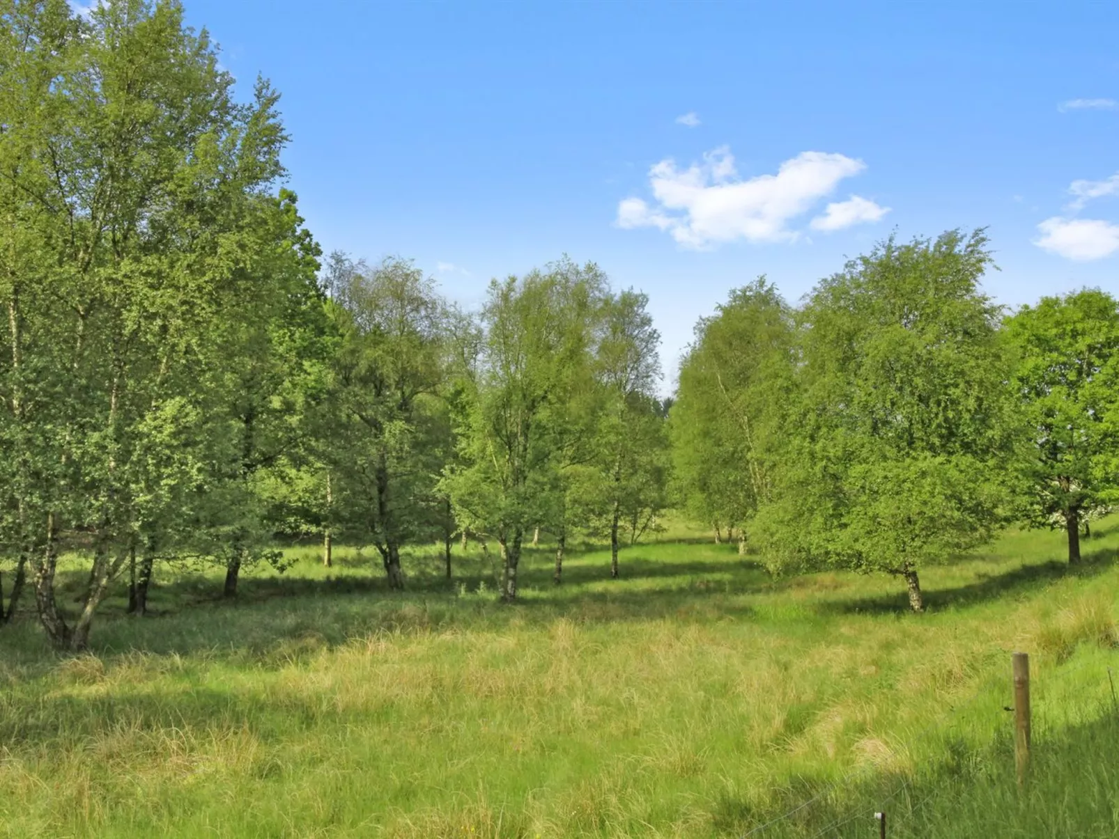 "Terese" - 45km from the sea-Binnen