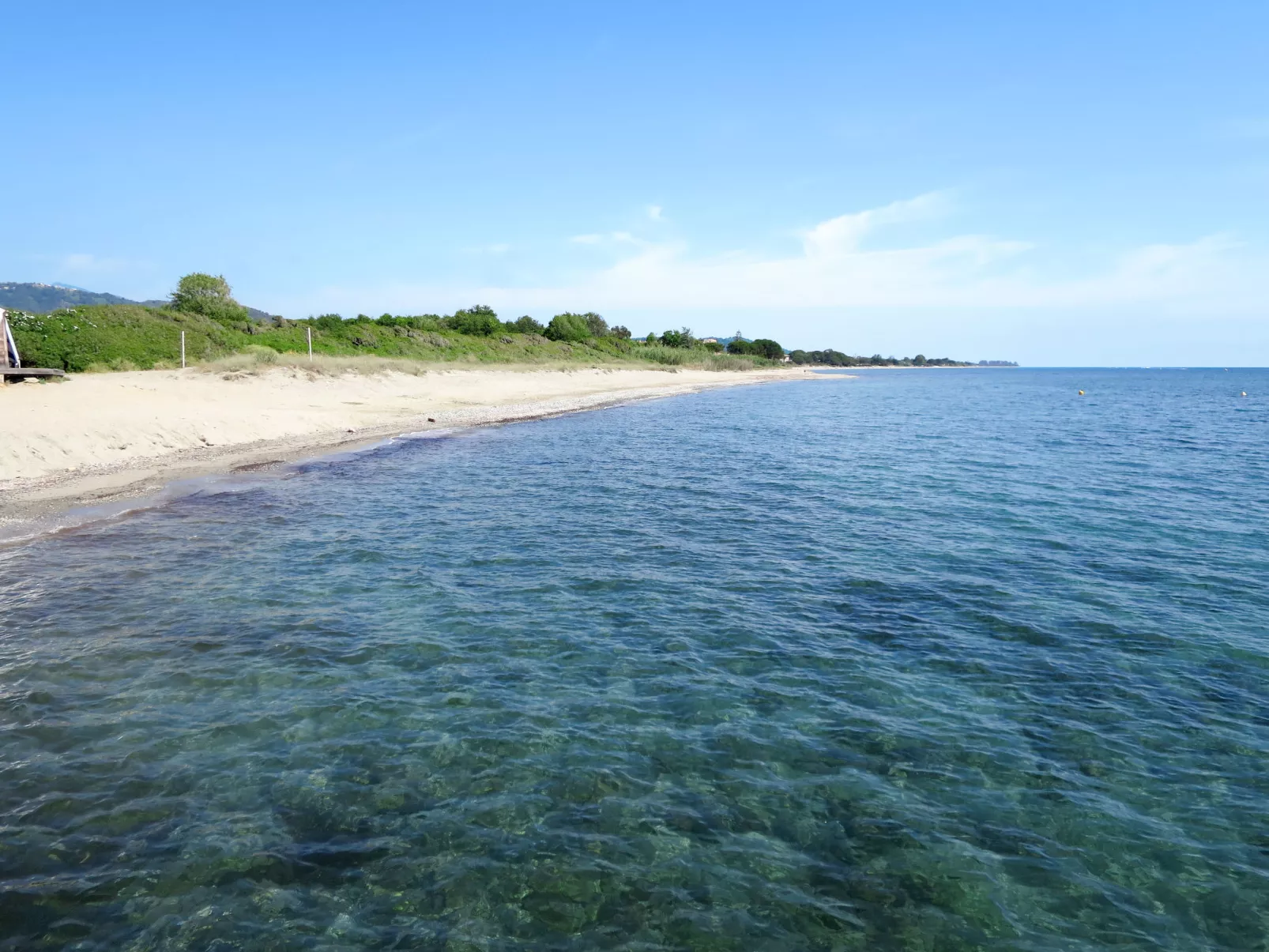 Dami I-Omgeving