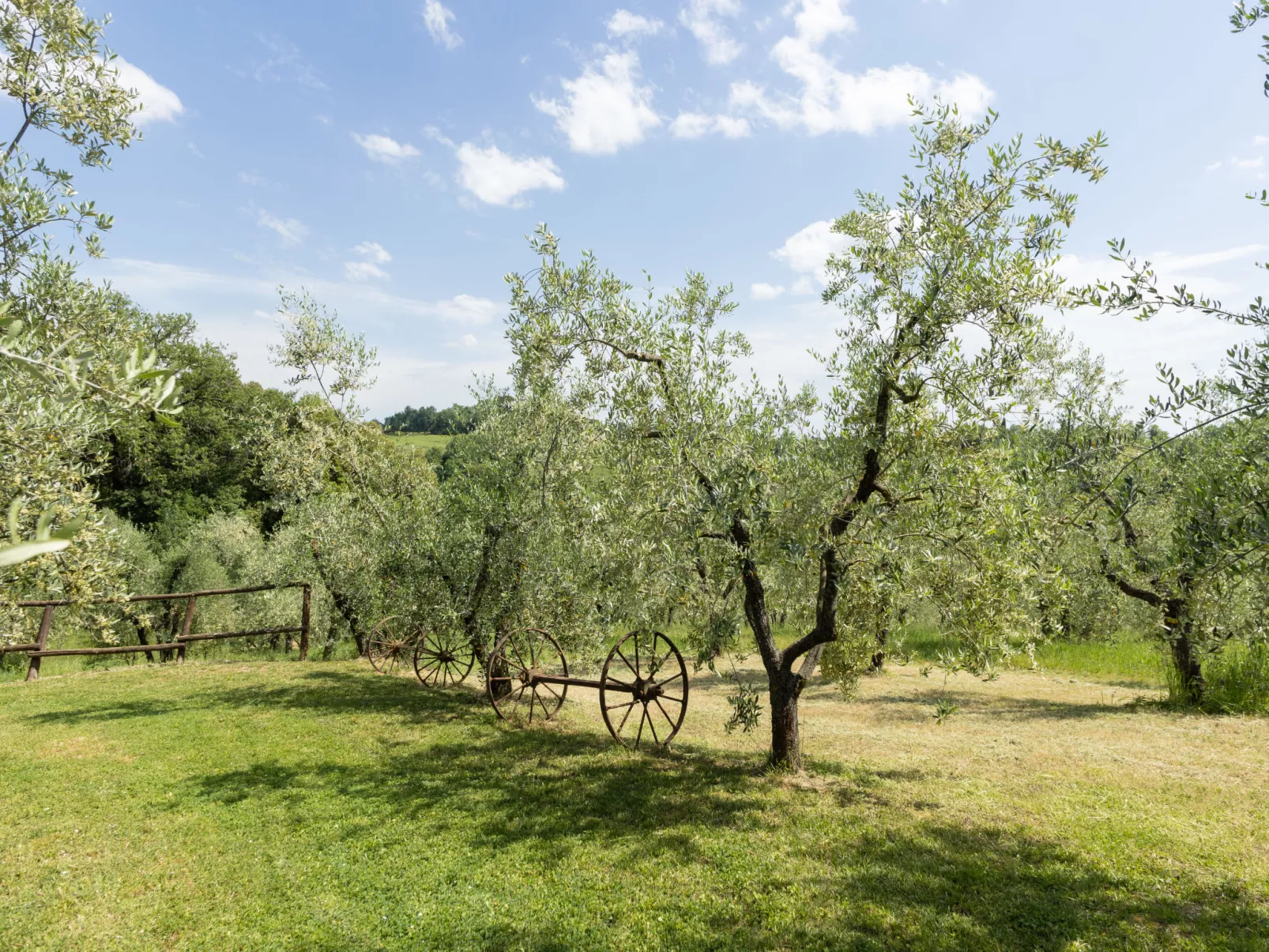 Il Forno-Buiten