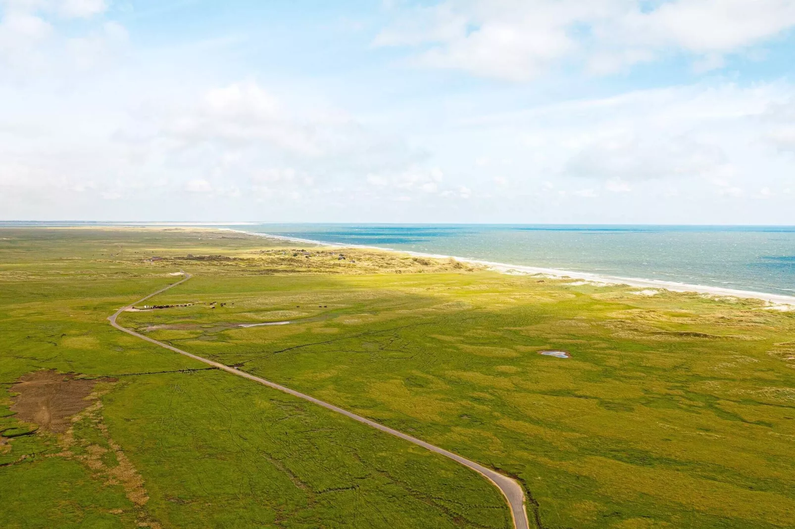 4 persoons vakantie huis op een vakantie park in Blåvand-Waterzicht