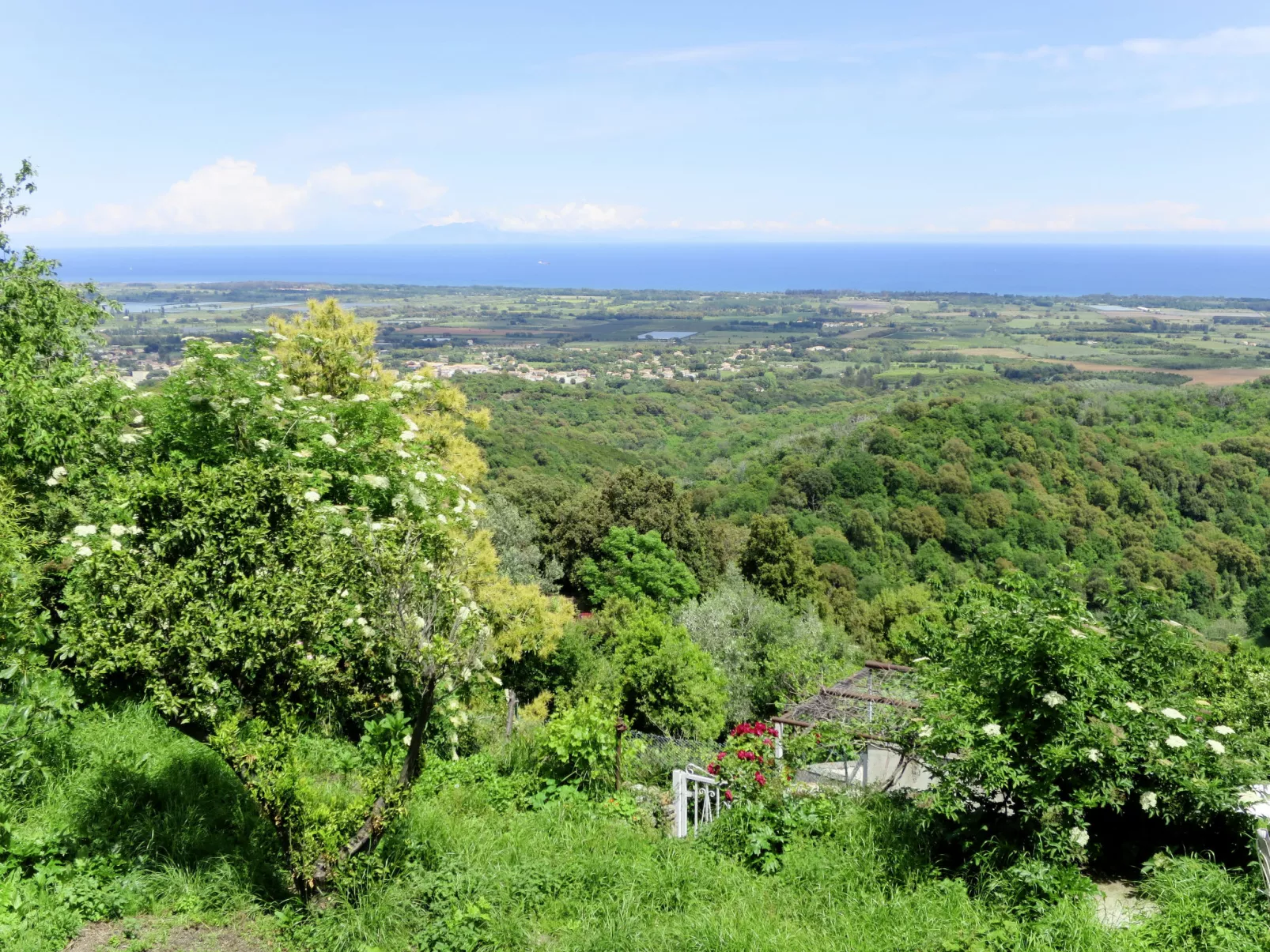 Filippi-Omgeving