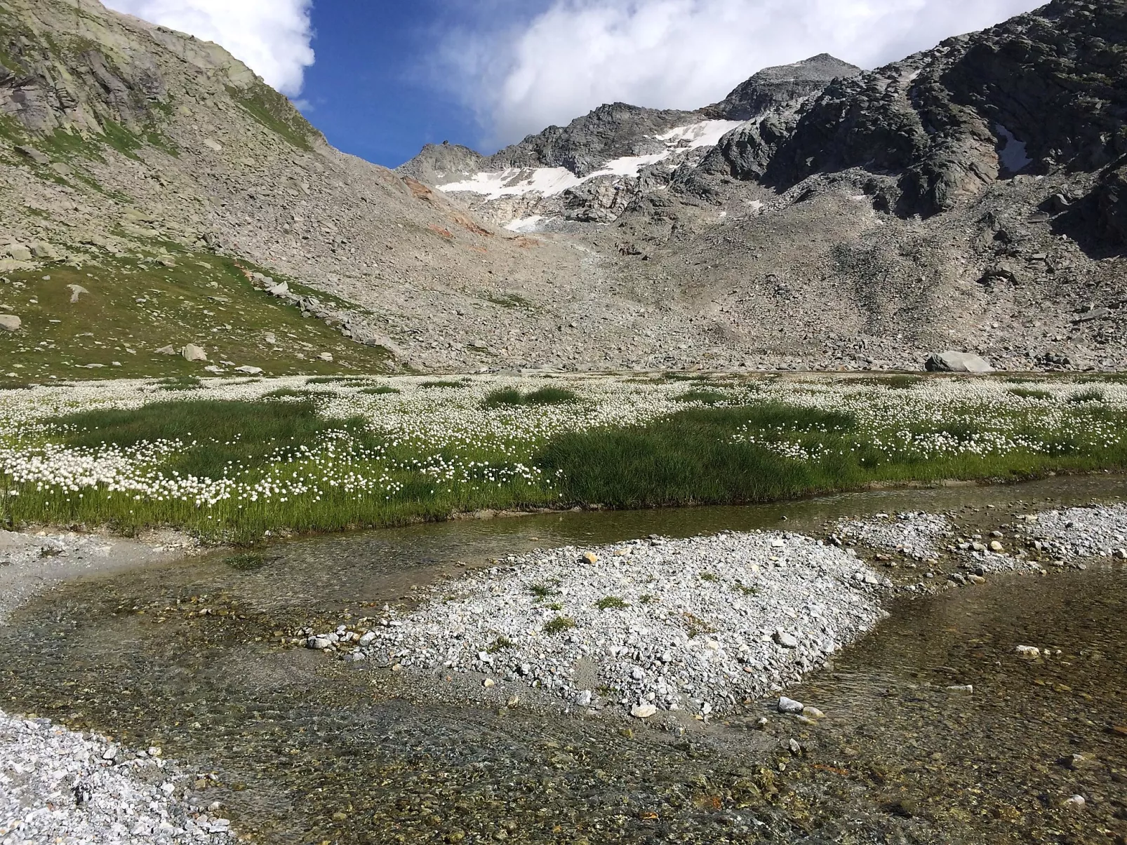 Chalet Sunstar, grosse Wohnung-Binnen