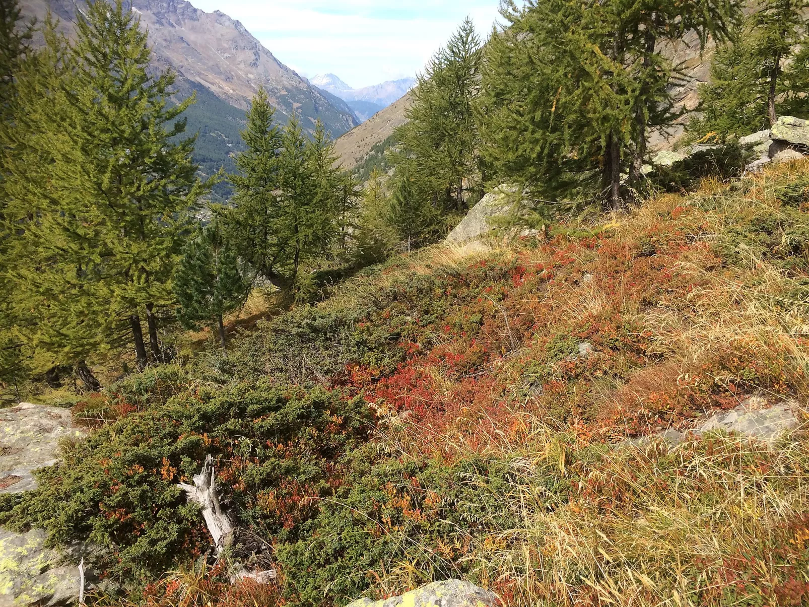 Chalet Sunstar, grosse Wohnung-Binnen