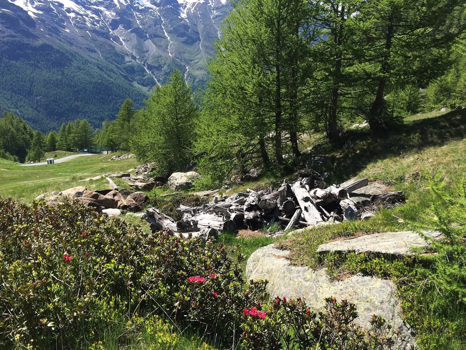 Chalet Sunstar, grosse Wohnung-Binnen