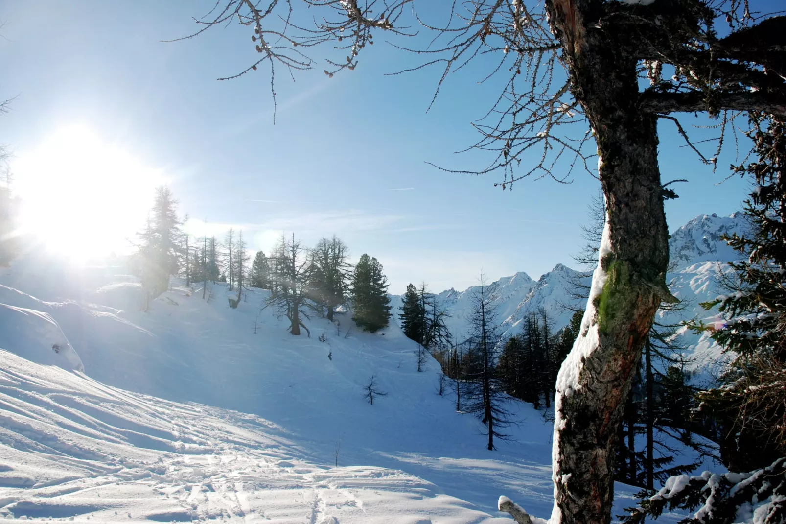 La Ferme les Violets-Gebied winter 5km