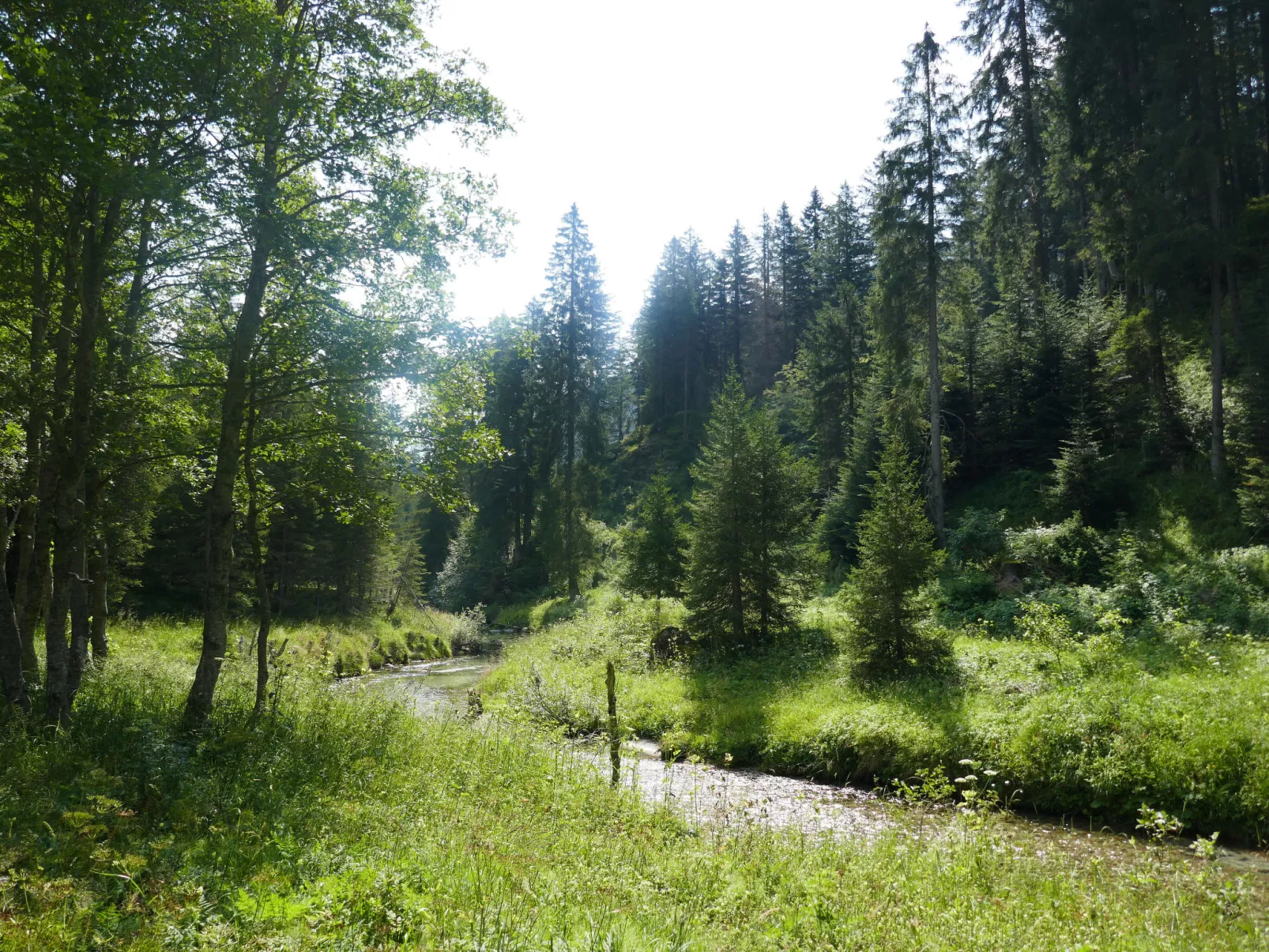 Felice-Buiten