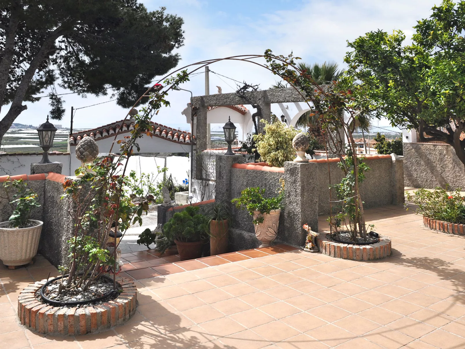 El Pino-Buiten