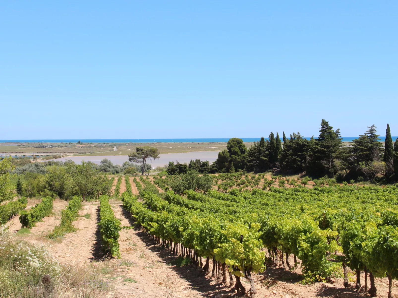 Les Hauts de St Pierre-Omgeving