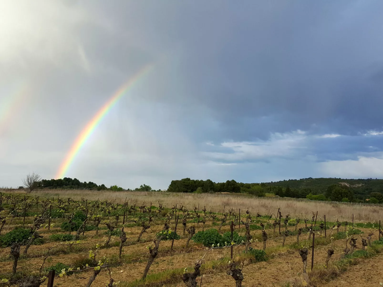 Les Hauts de St Pierre-Omgeving